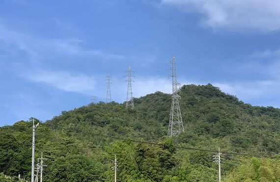 山口で伐採のスタッフを募集しておりますので気軽にお問い合わせください